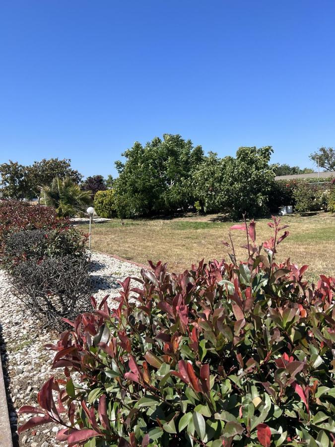 Travel Inn Gilroy Dış mekan fotoğraf